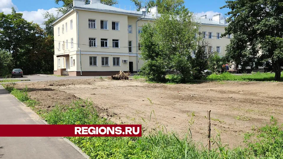 Фото: Валерия Тингаева