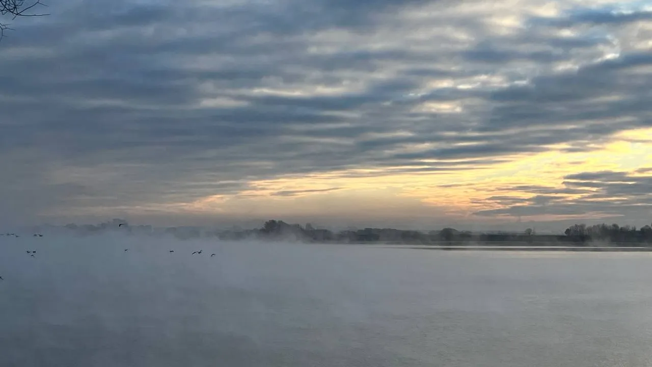 Фото: REGIONS/Елена Фурман