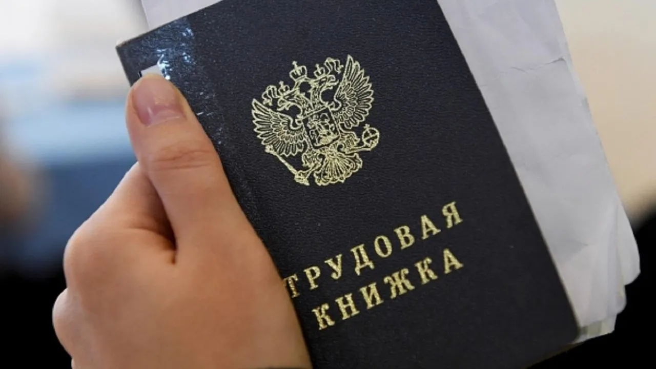 Ярмарка вакансий пройдет в Подмосковье в конце ноября