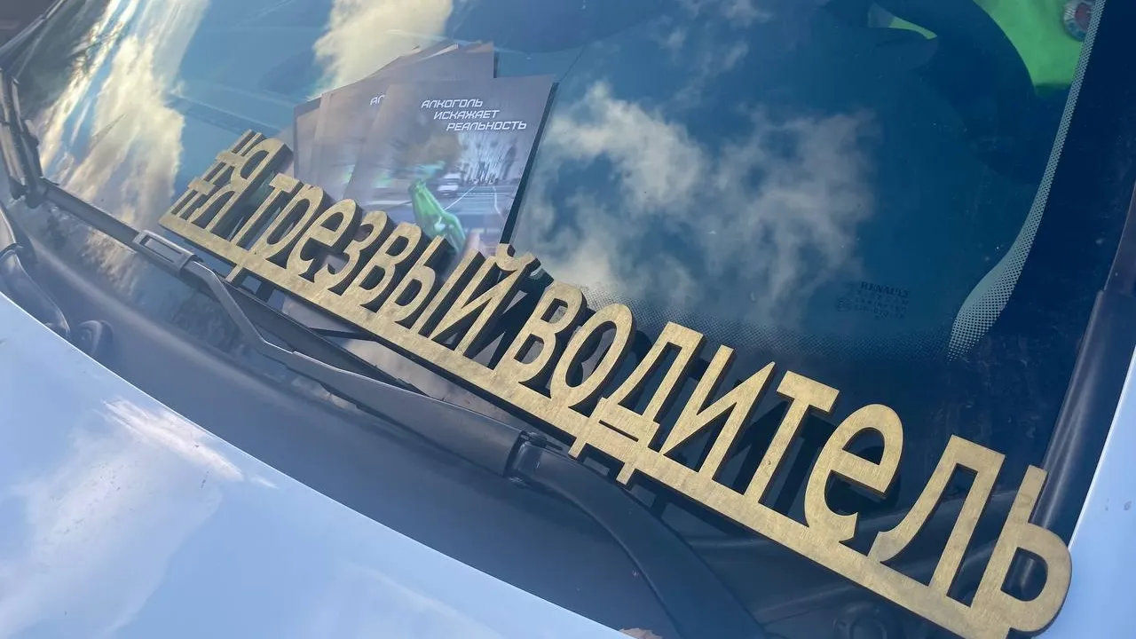 Источник: пресс-служба ГИБДД по городскому округа Павловский