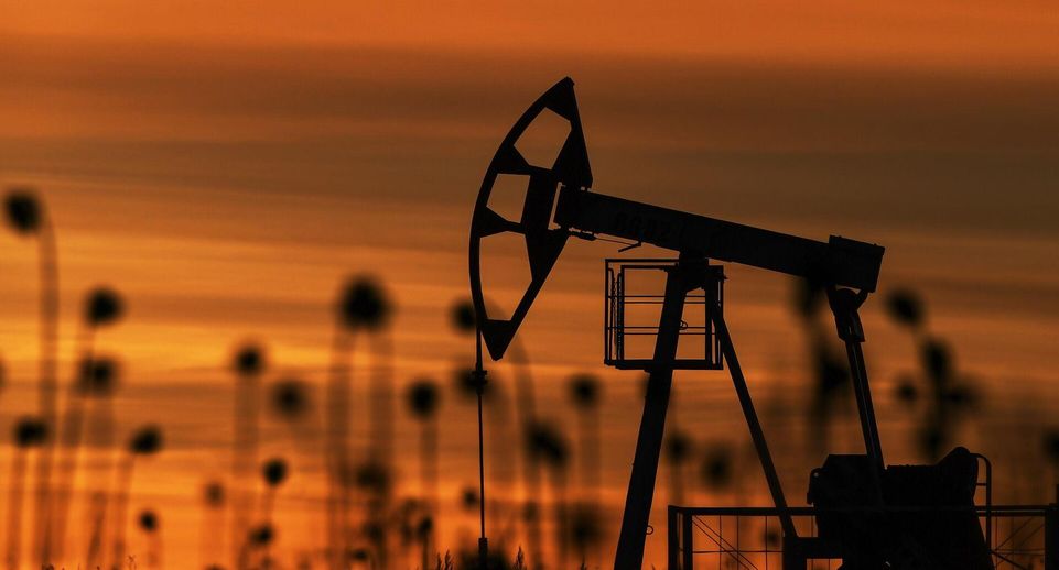 Зеленский на саммите упрекнул страны Европы в зависимости от нефти России