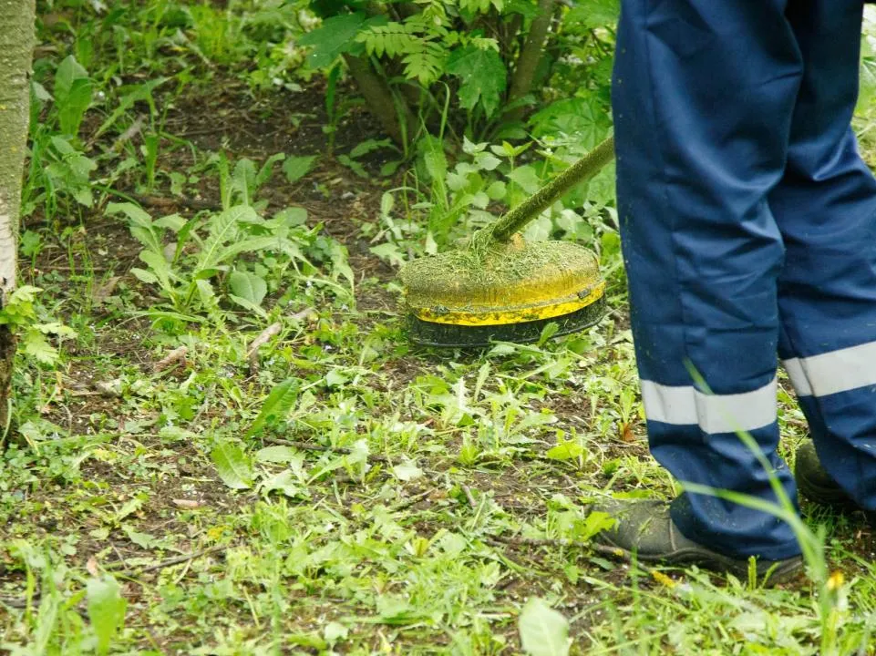 Фото: пресс-служба администрации г.о. Кашира