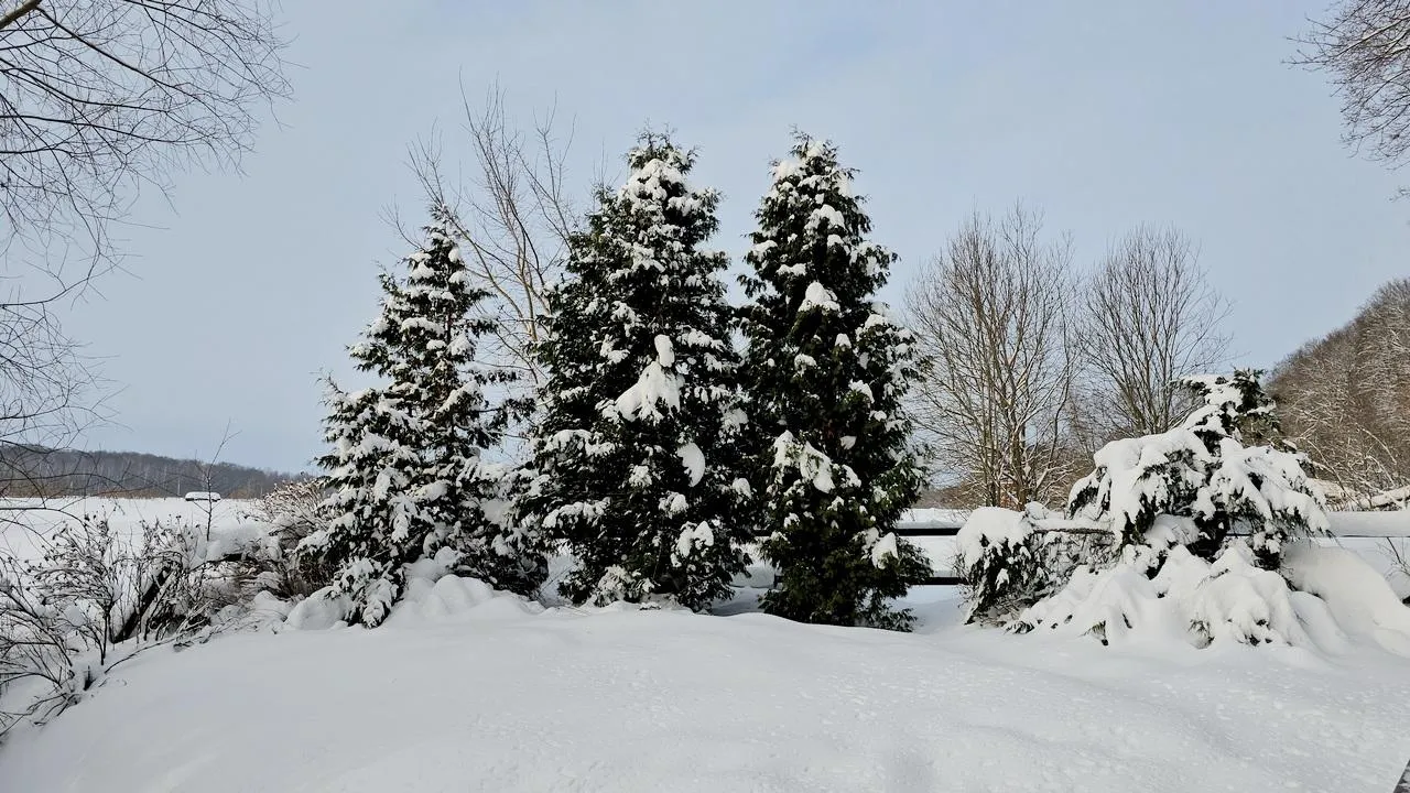 REGIONS/Александр Дрожжин