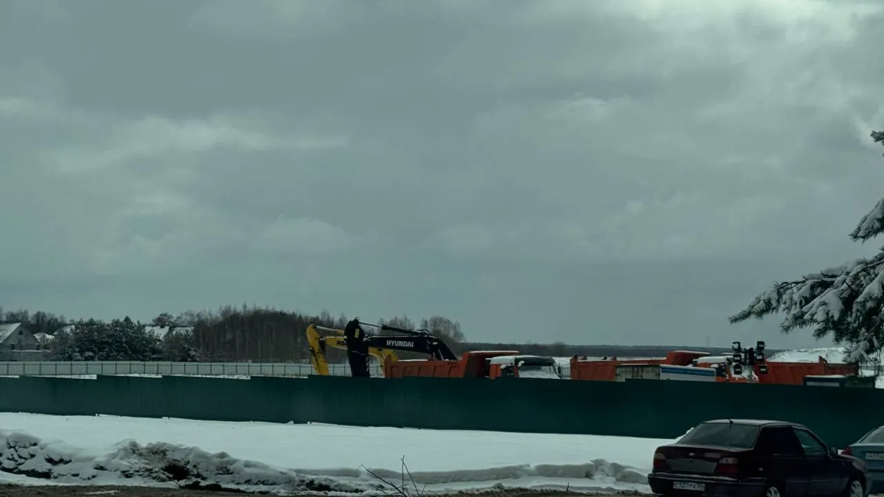 Фото: пресс-служба администрации г.о. Домодедово