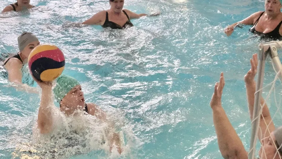 Фото: пресс-служба администрации г.о. Красногорск