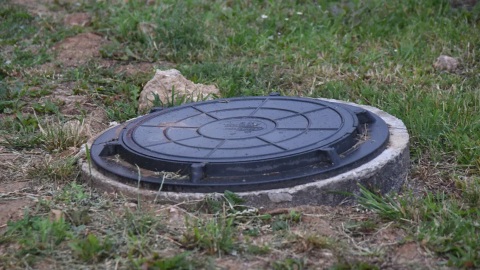 Фото: МедиаБанк Подмосковья/Дарья Соколова