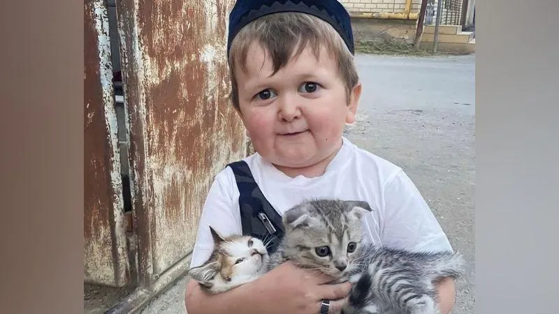 Хасбик может озвучить Яндекс. Навигатор
