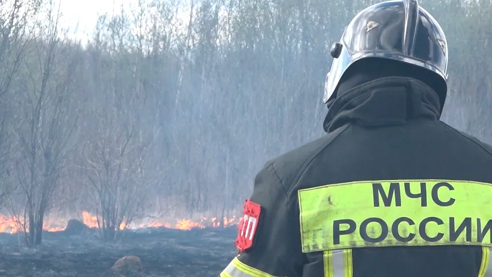 Фото: МедиаБанк Подмосковья/Наталия Надточая