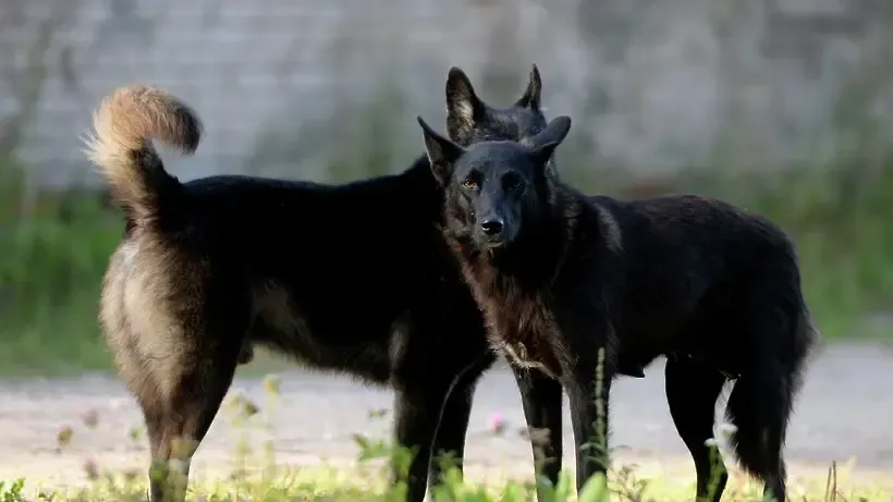© РИА Новости,   Константин Чалабов