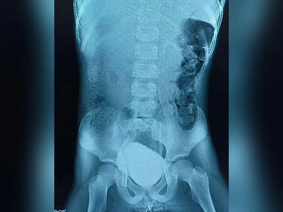 Фото: Министерство здравоохранения Московской области
