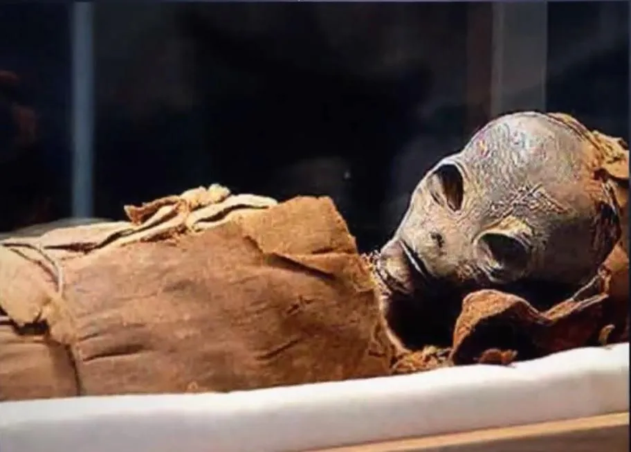 Стоп-кадр из видео @ tophype/Мумия организма, найденная в Турции, кардинально отличается от ДНК известных науке существ