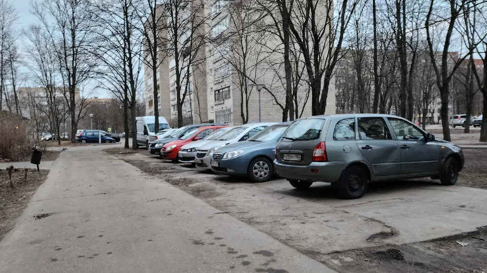 Фото: МедиаБанк Подмосковья/Иван Петрушин