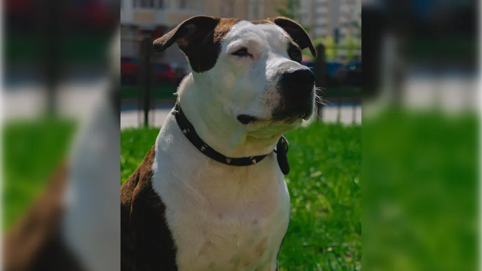 Фото: Анастасия Хонская