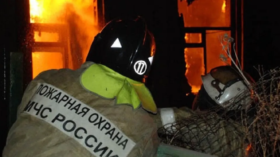 Фото: ГУ МЧС России по Московской области