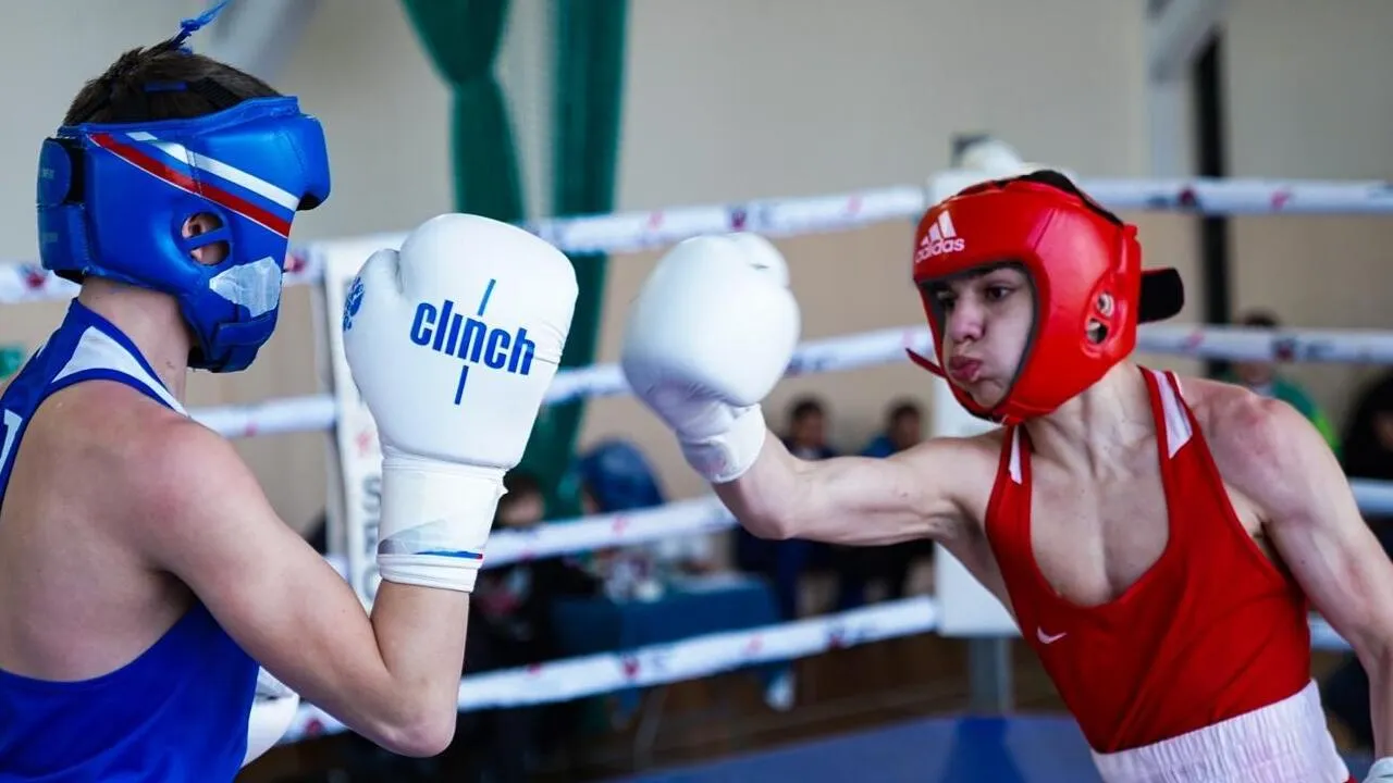 Фото: СШОР по боксу Московской области