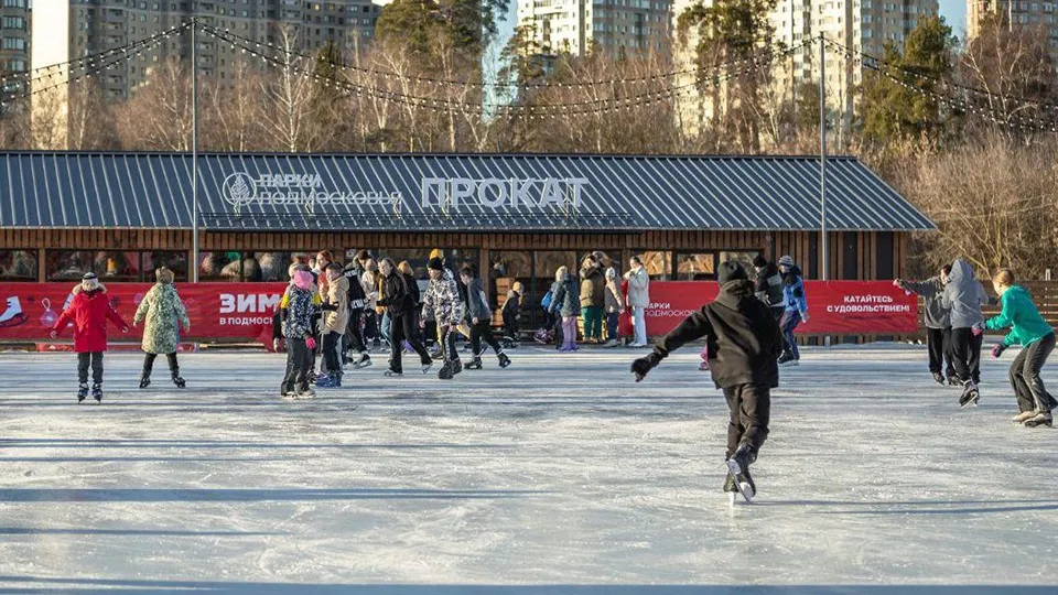 Фото: Министерство благоустройства Московской области