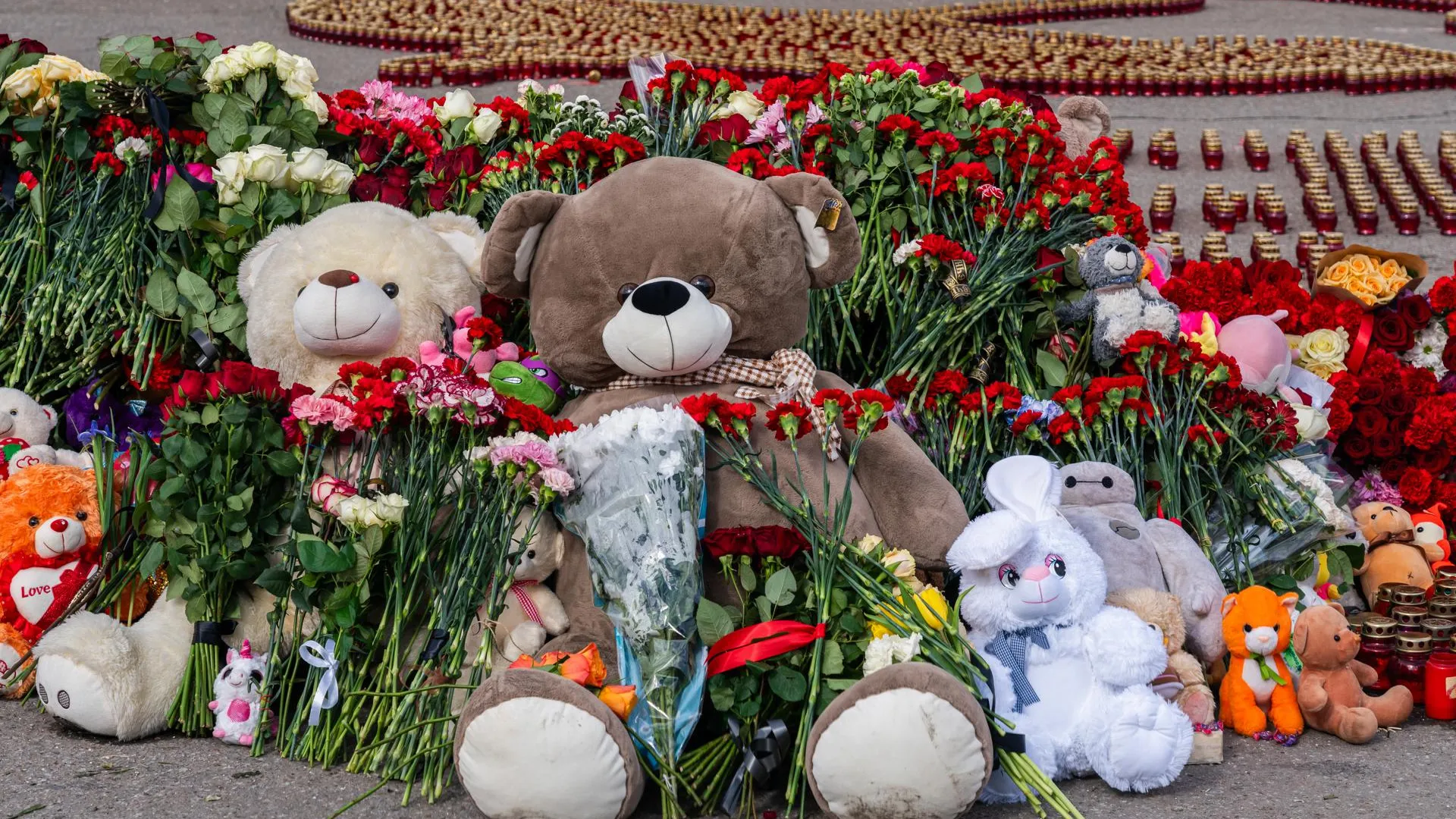 Депутат Матвеев заявил, что в России следует ввести визовый режим со всеми странами после теракта в «Крокусе»
