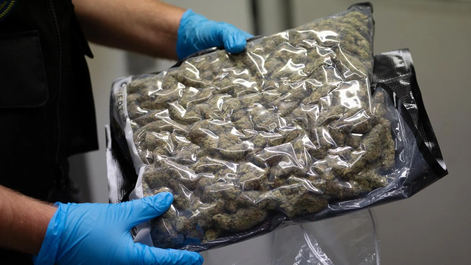 Контрабанда марихуаны. Leonie Asendorpf