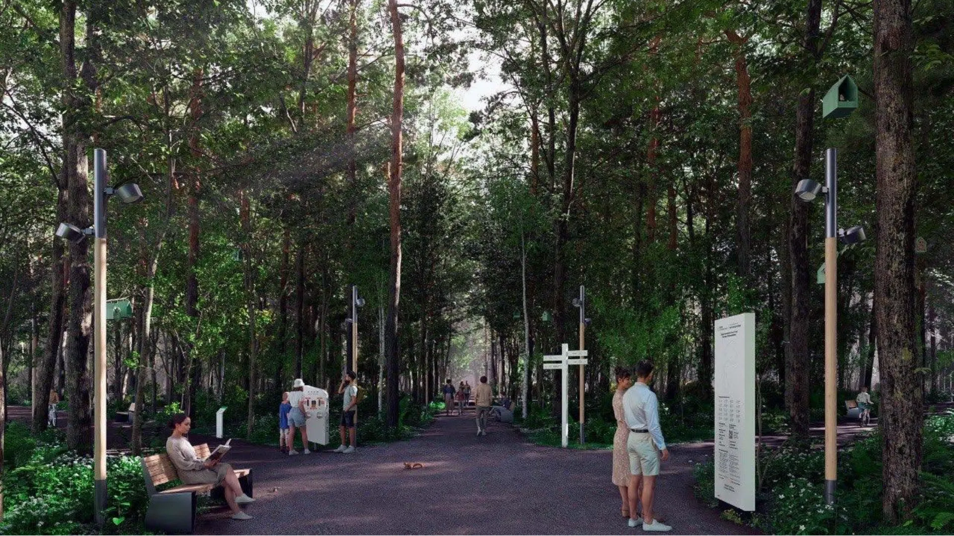 проектное решение