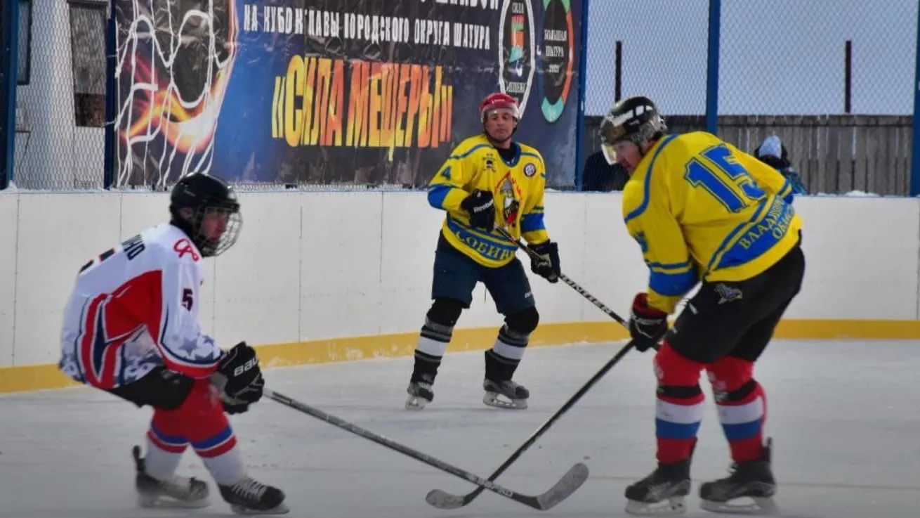 Фото из архива "Большой Шатуры"