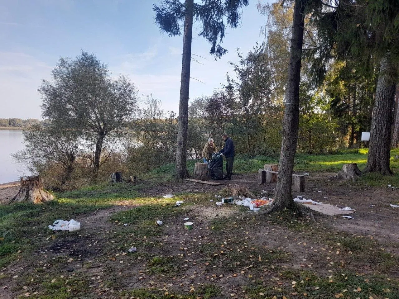 Фото: Комитет лесного хозяйства Московской области