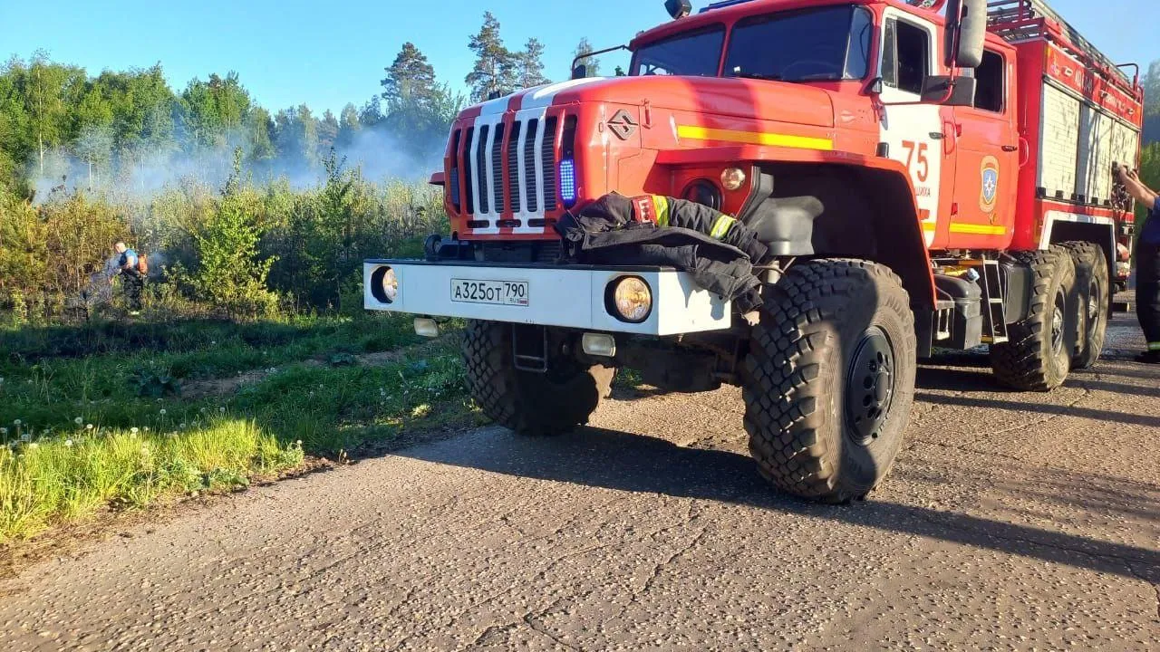 Фото: Комитет лесного хозяйства Московской области