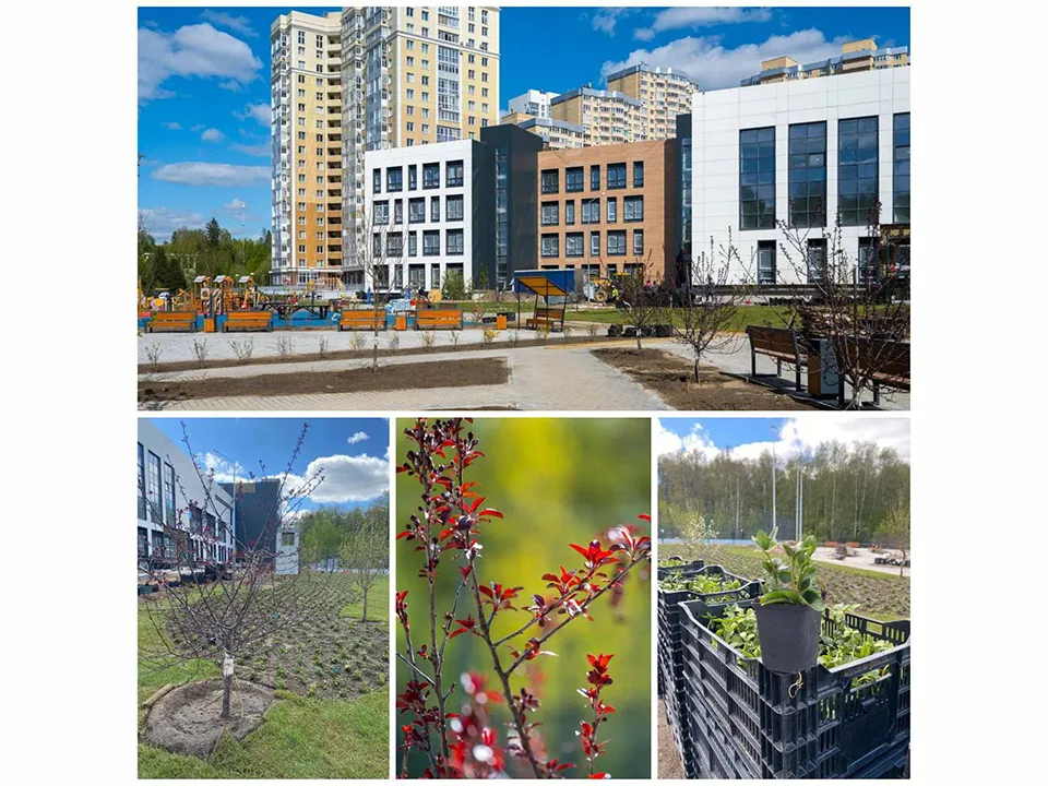 Фото: пресс-служба администрации Одинцовского г.о.