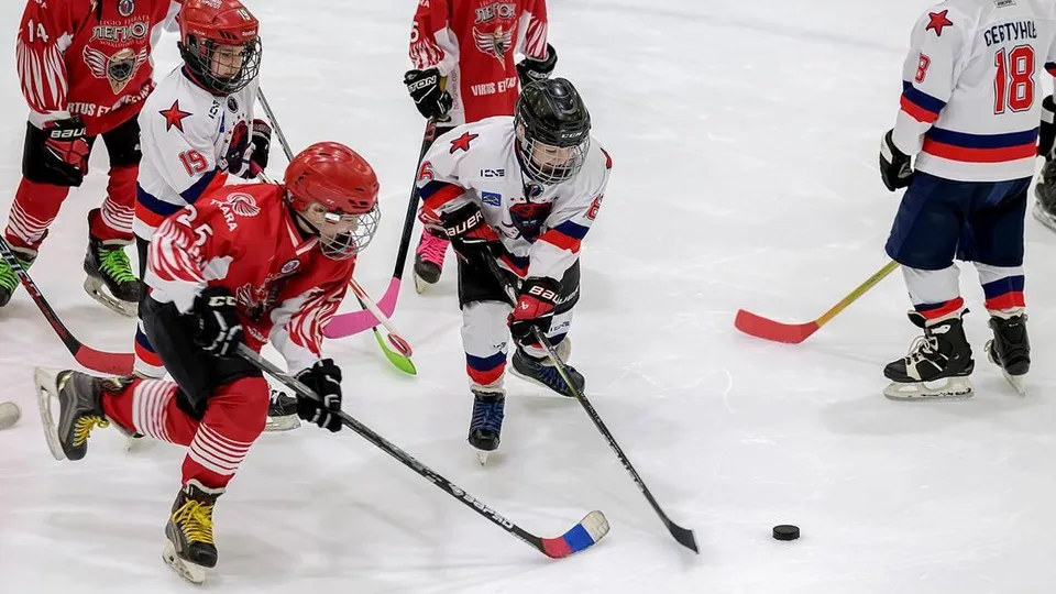 Фото: пресс-служба администрации г. о. Подольск