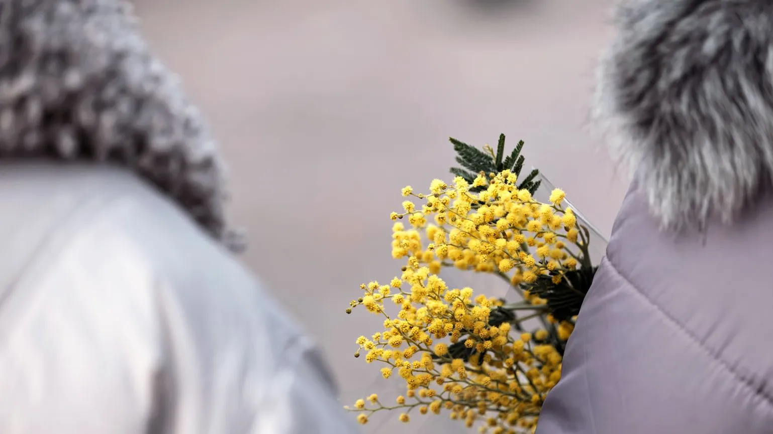 медиасток.рф