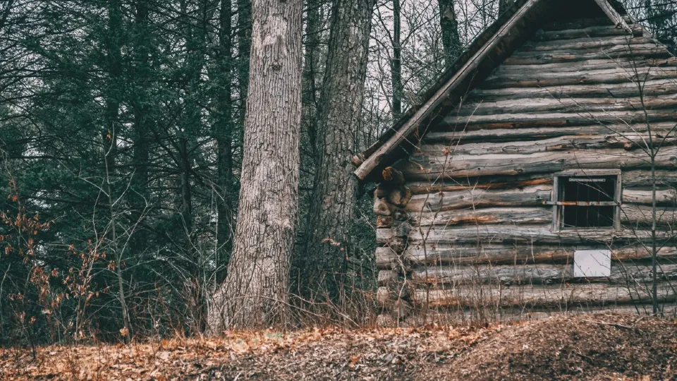 Фото: freepik.com