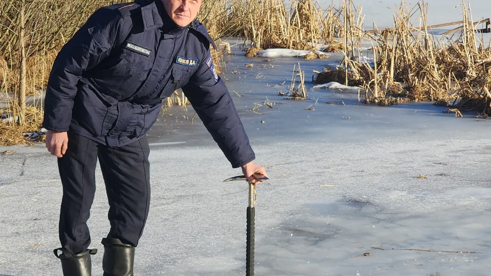 Фото: МедиаБанк Подмосковья/Хавива Фонина