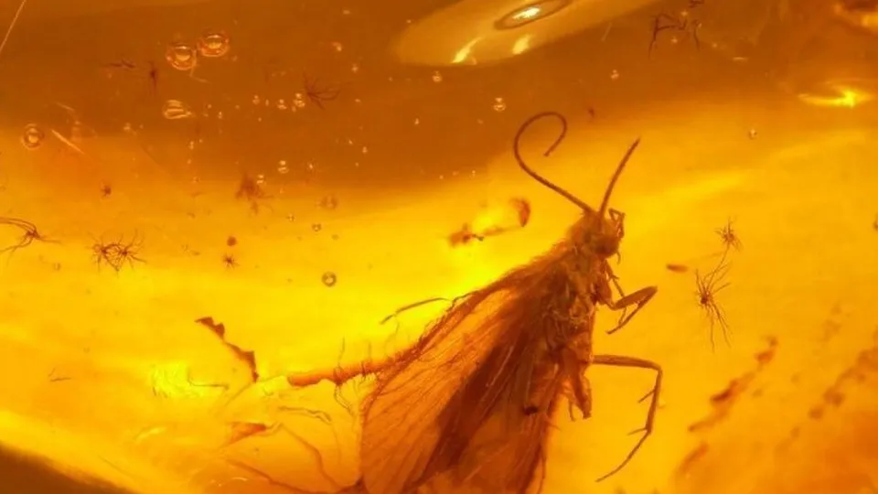 Фото: ДК «Сатурн»