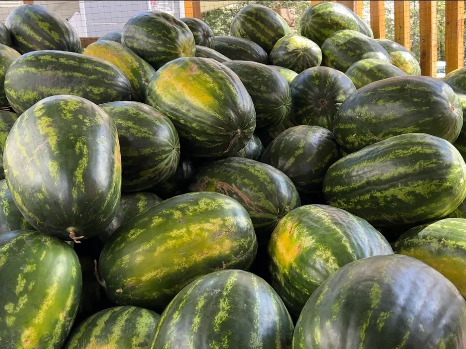 Фото: МедиаБанк Подмосковья/Валерия Ерофеева&nbsp;