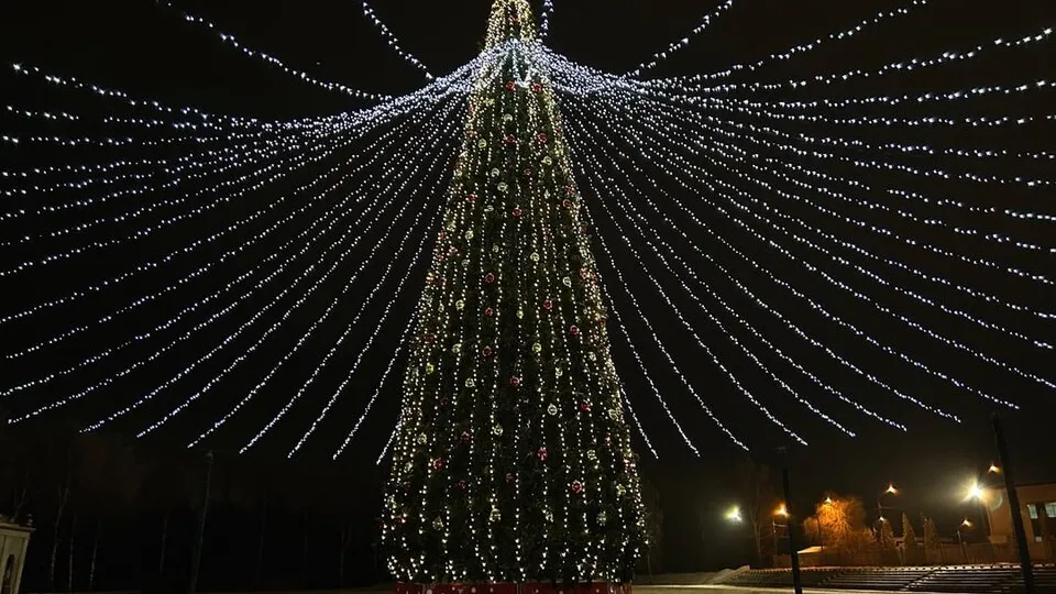 Фото: пресс-служба администрации г. о. Кашира