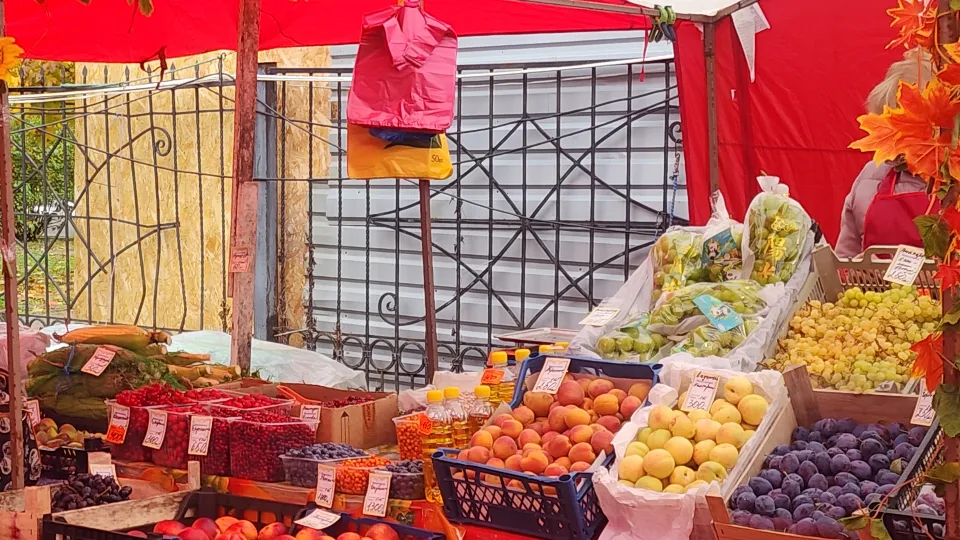 Фото: МедиаБанк Подмосковья/Хавива Фонина