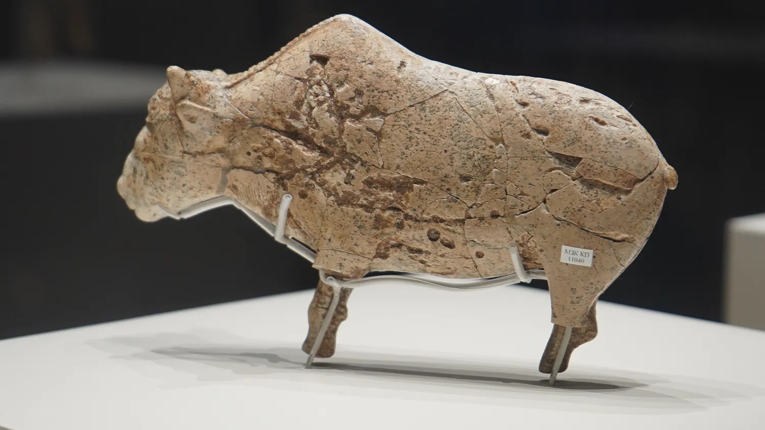 Фото: Екатерина Елисеева