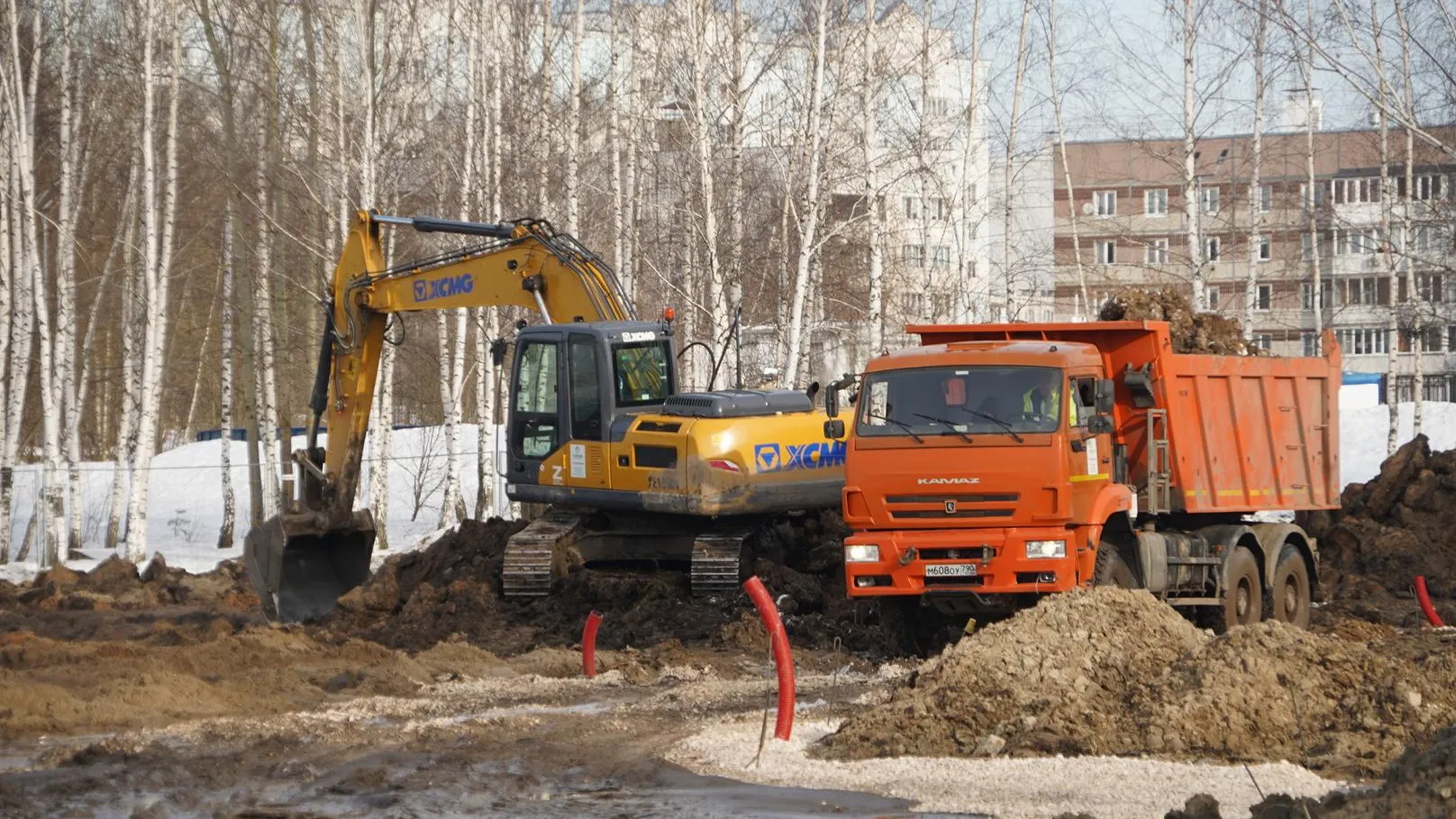 Алёна Притула