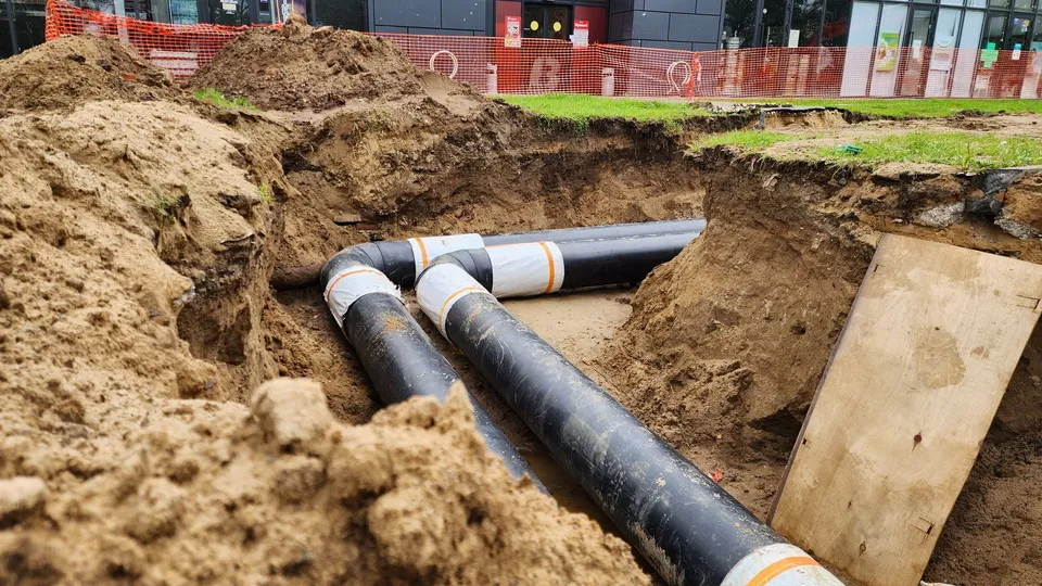 Фото: Ольга Аввакумова