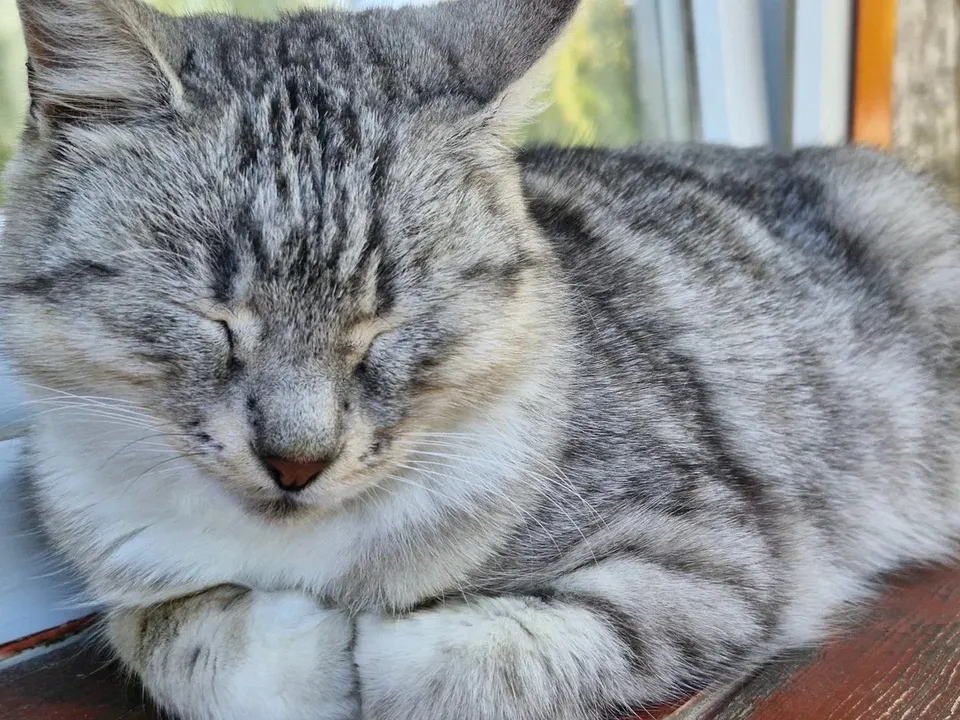 Фото: REGIONS/Наталия Надточая