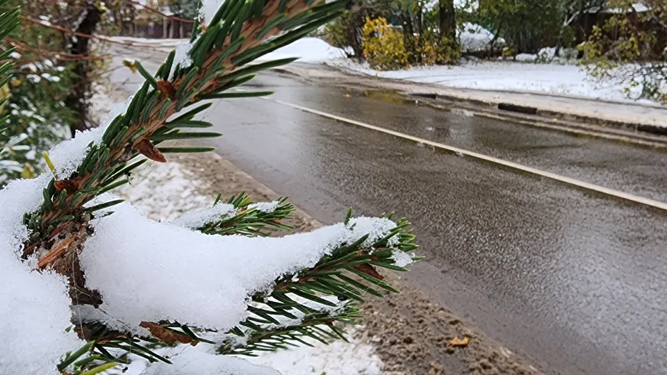 Фото: REGIONS/Наталия Надточая