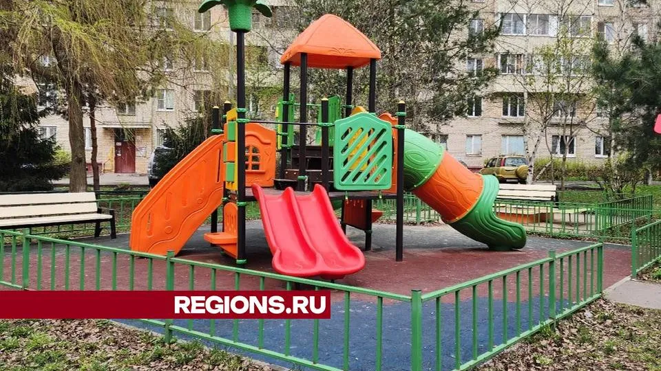 Фото: Мария Андрюхина