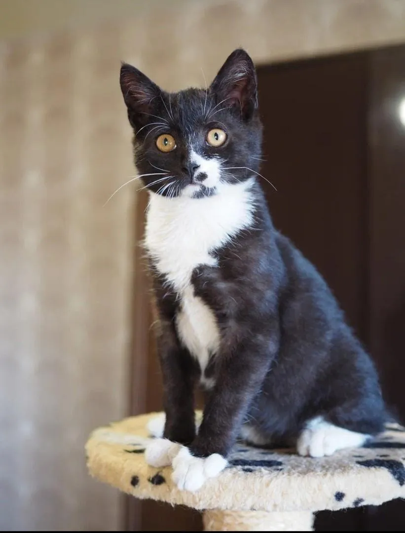 Фото: Истра | Искра! / ВКонтакте