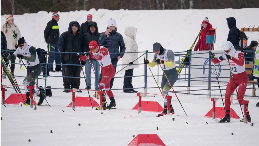 Фото: Фотобанк Московской области