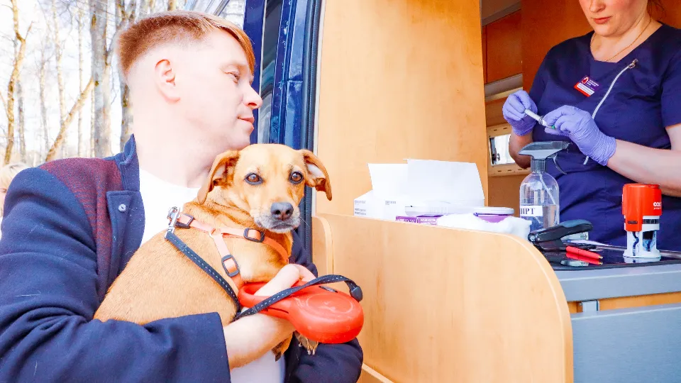 Фото: МедиаБанк Подмосковья/Данила Кирьянов