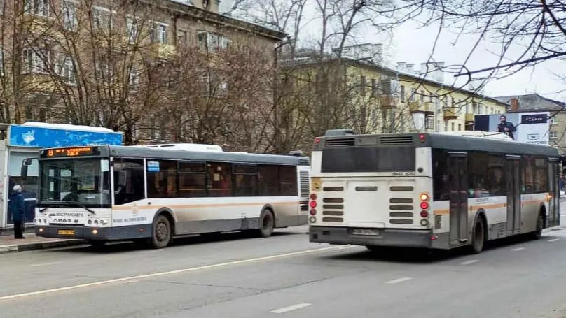 Фото: Нина Басистая