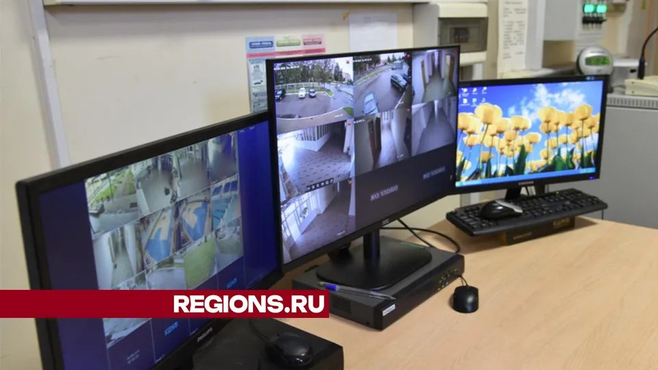 Фото: Владимир Останин