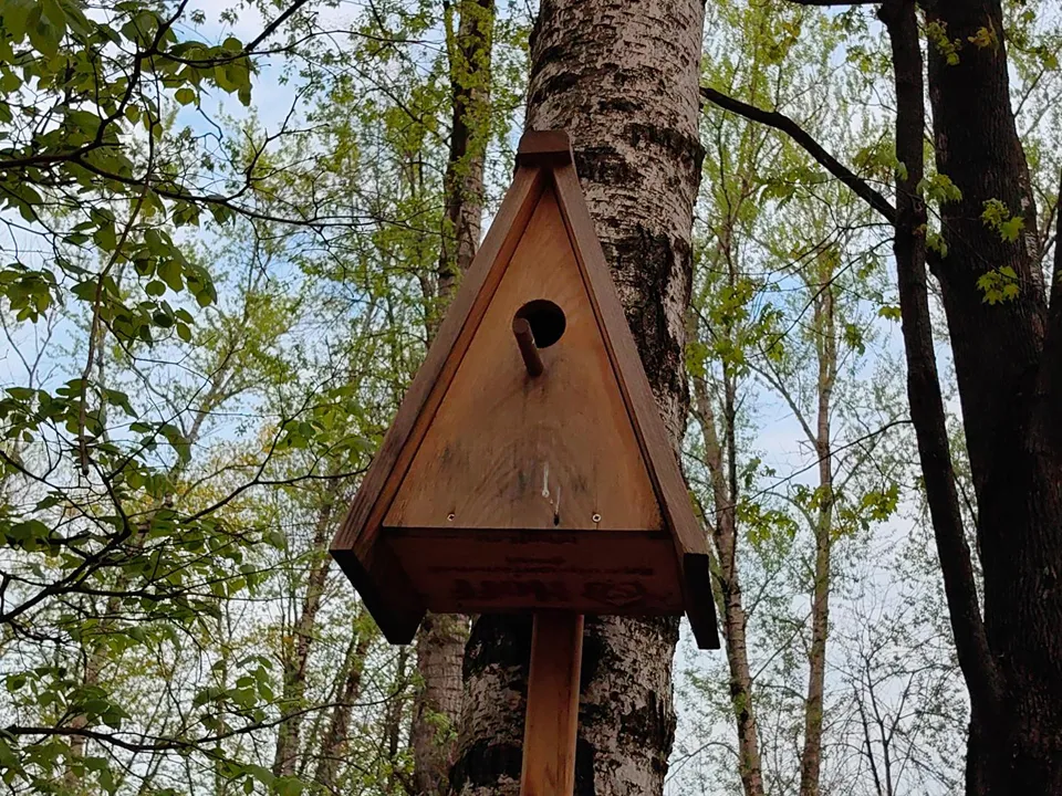 Фото: REGIONS/Елена Катасонова