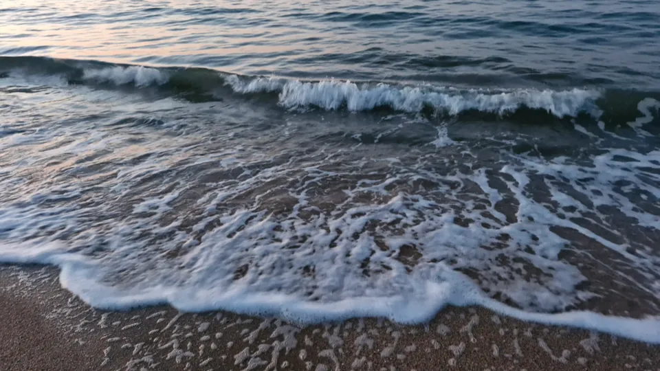 Фото: REGIONS/Наталия Надточая