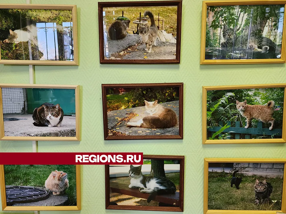 Фото: Вера Коренева