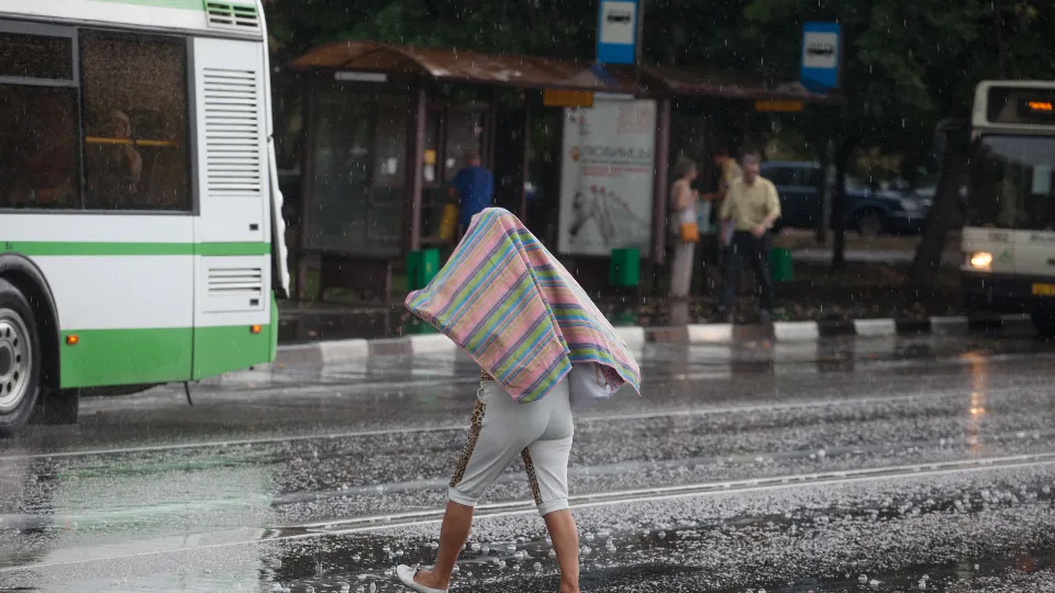 Фото: медиасток.рф